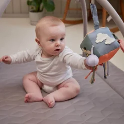 Aktivitetsleksak Blå Babyleksaker