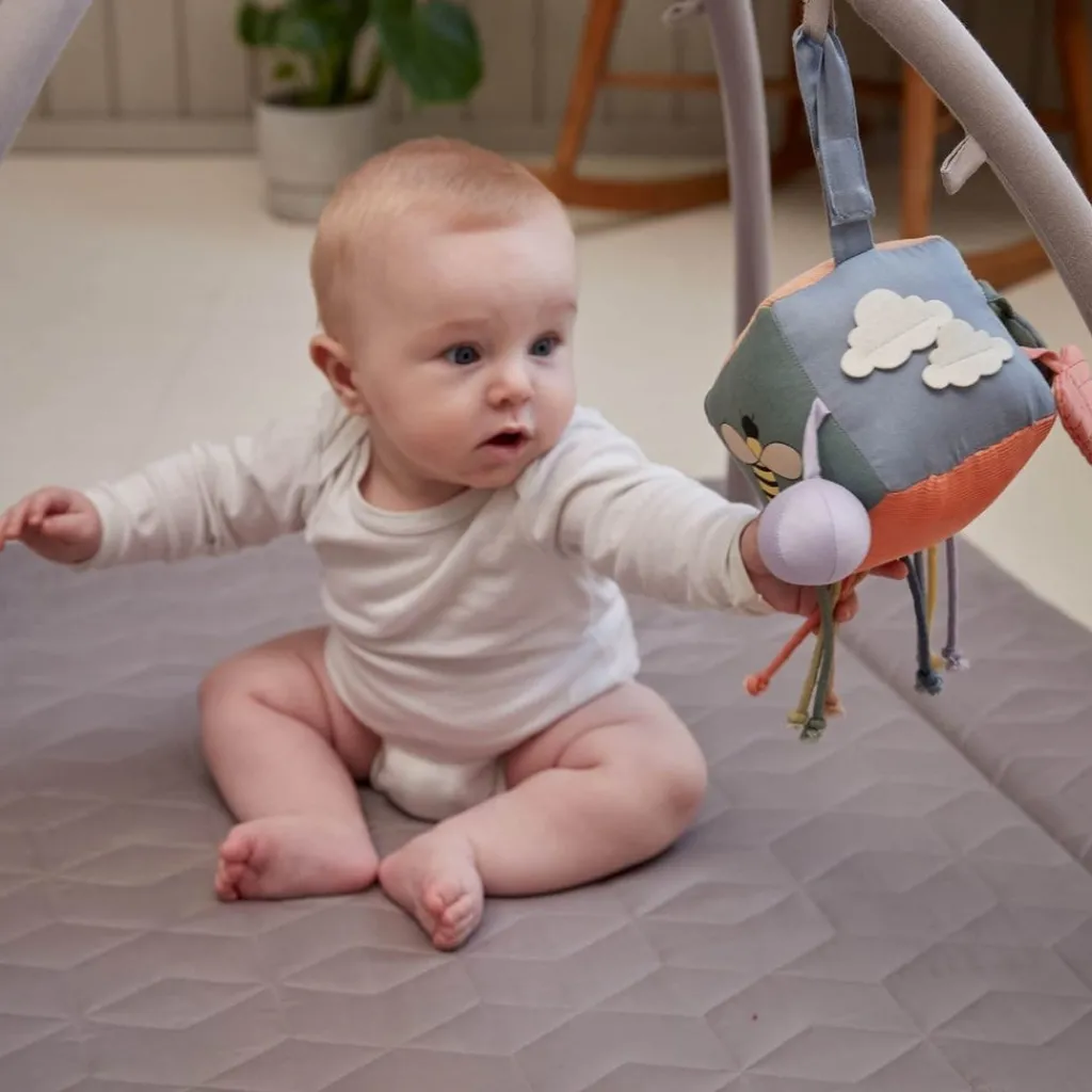 Aktivitetsleksak Blå Babyleksaker