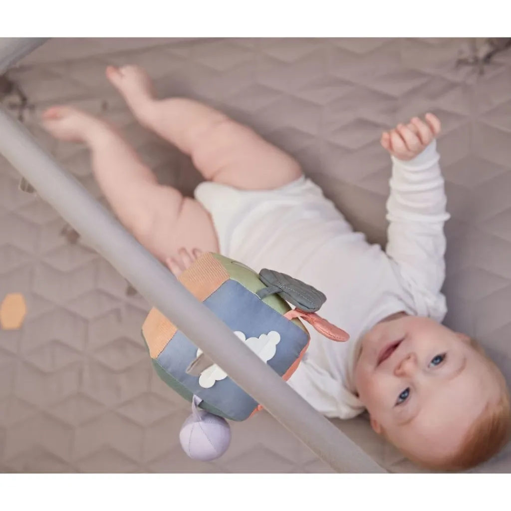 Aktivitetsleksak Blå Babyleksaker