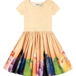 Discount Cissa Short-Sleeved Dress Rainbow Parrots Barn Klänningar & Kjolar