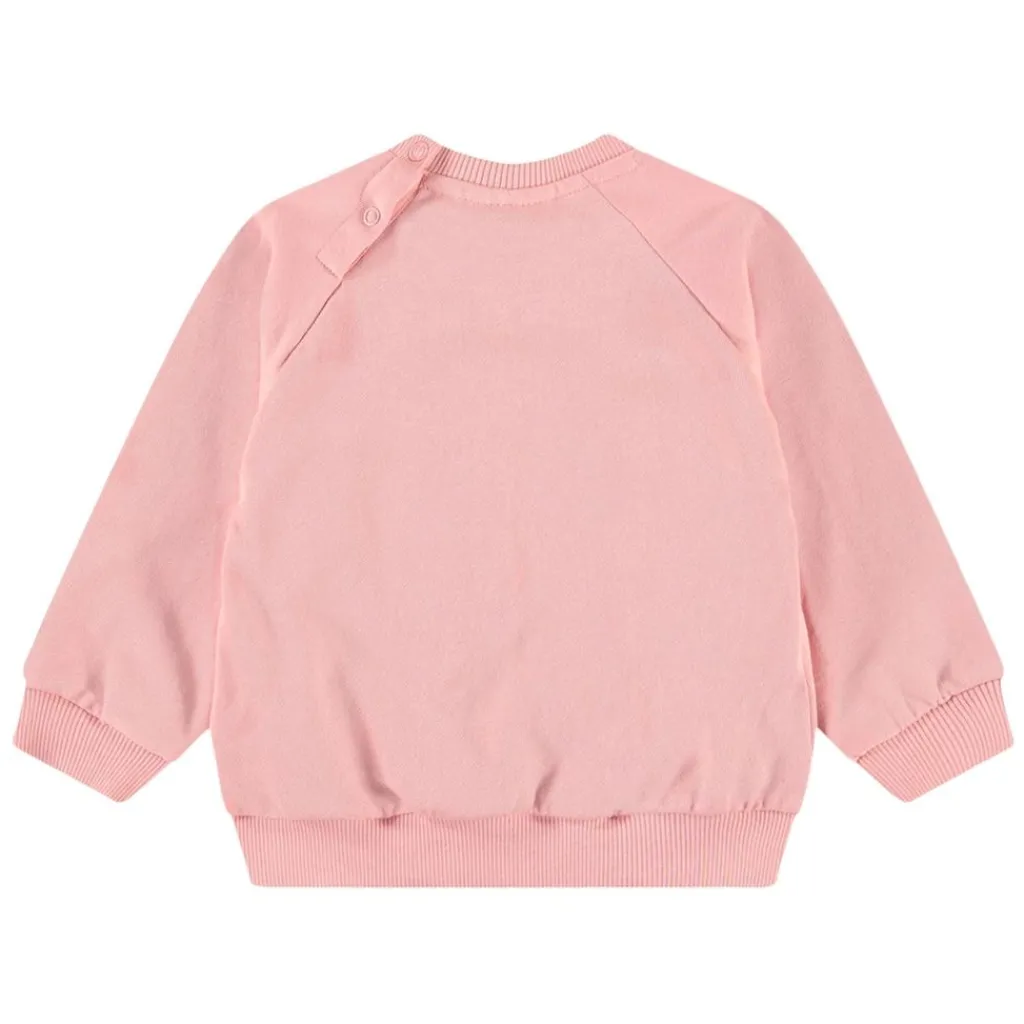 Disc Rosequartz Barn Tröjor & Toppar