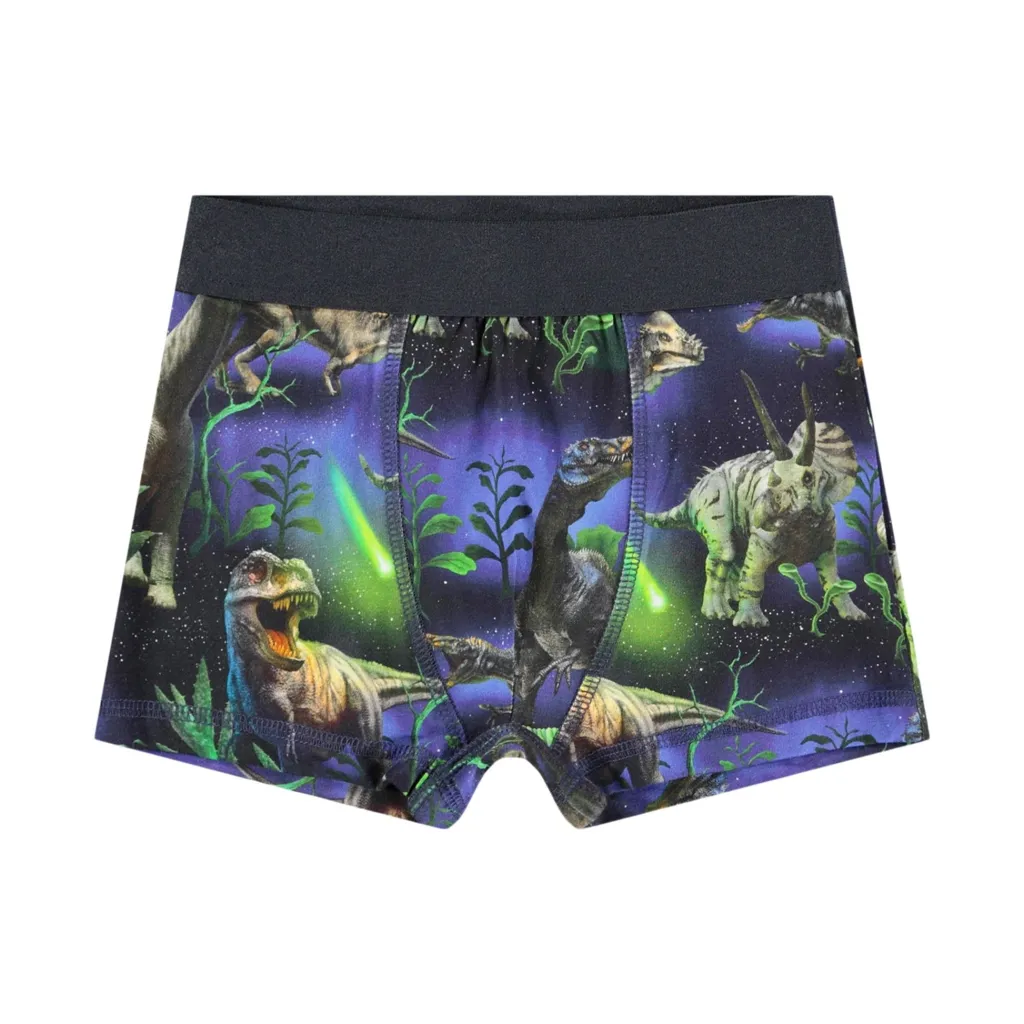 New GOTS Justin 2-pack Boxershorts Dino Galaxy Barn Underkläder