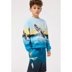 Clearance Monti Sweatshirt Whale Jump Barn Tröjor & Toppar