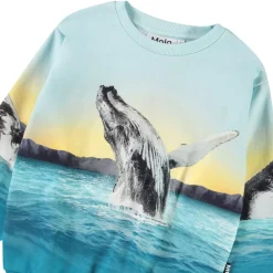 Clearance Monti Sweatshirt Whale Jump Barn Tröjor & Toppar