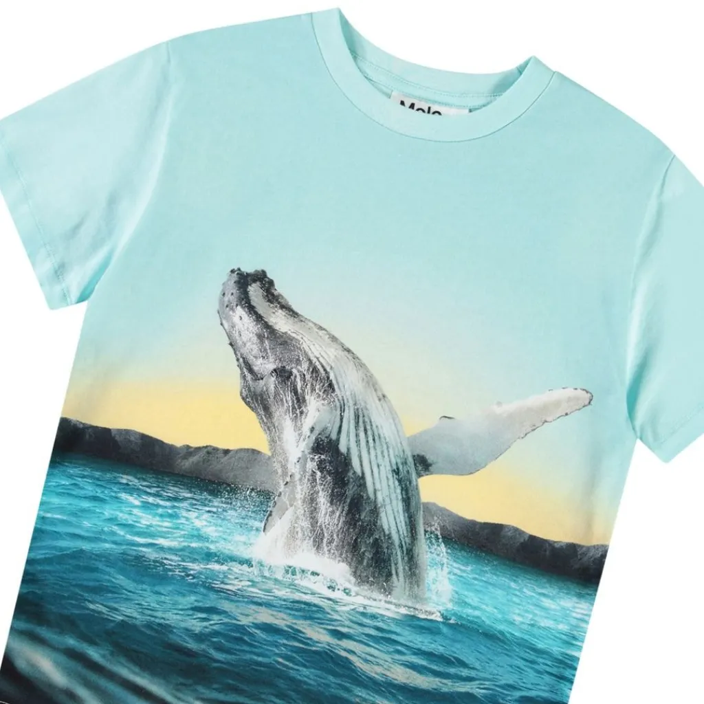 Discount Rame Short Sleeve T-Shirt Whale Jump Barn Tröjor & Toppar