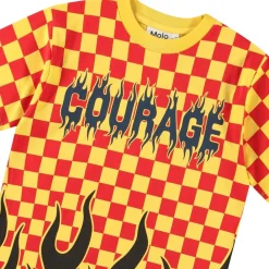 Hot Rodney Short-Sleeved T-Shirt Flame Check Barn Tröjor & Toppar
