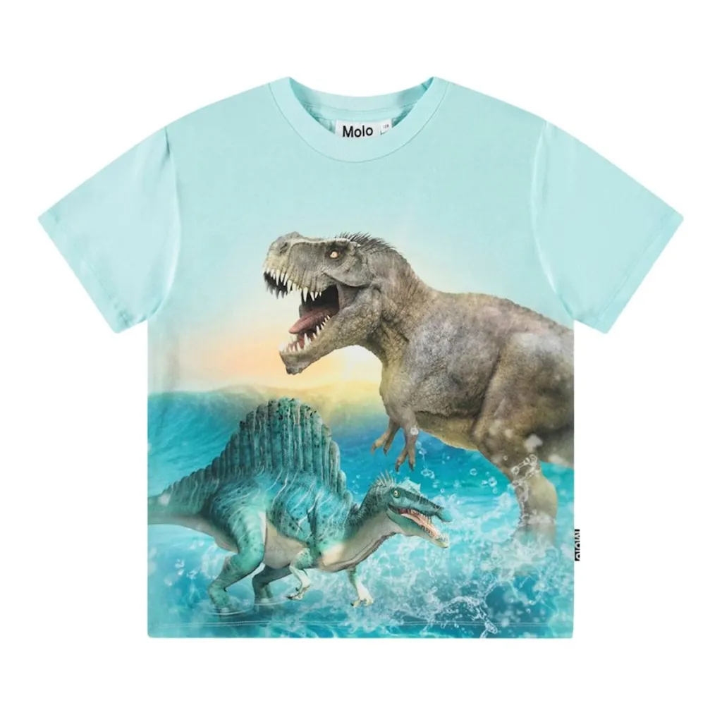 New Roxo Short Sleeve T-Shirt Dino Splash Barn Tröjor & Toppar