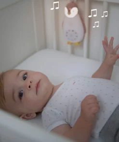 Sale Zoe Music Box Rosa Belysning